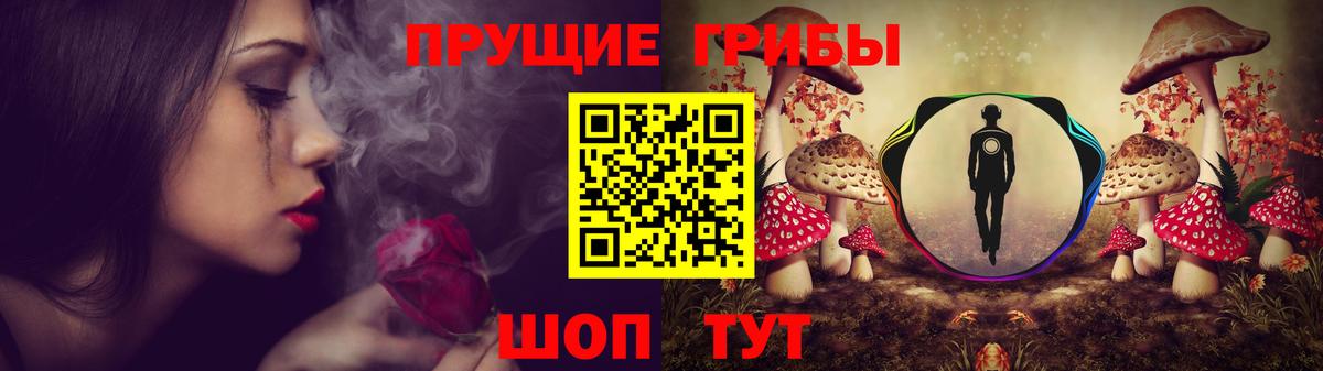 Новошахтинск  Псилоцибиновые грибы MAGIC MUSHROOMS  Вход с VPN  Галлюциногенные грибы GOLDEN TEACHER 